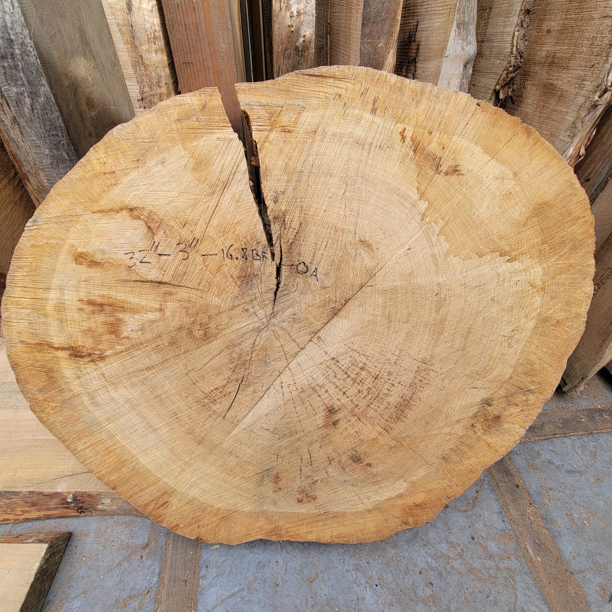 Garry Oak